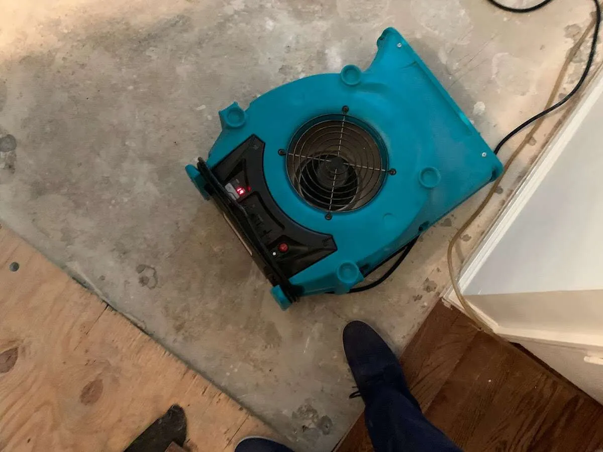 Air mover drying subfloor during Leak Detection & Repair in Port Royal